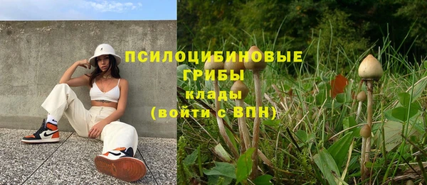 герыч Алзамай