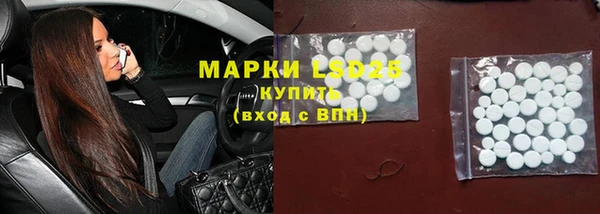 шишки Алексин