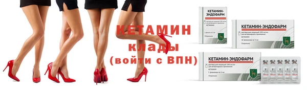сатива Абаза