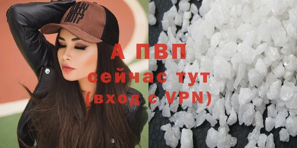 сатива Абаза